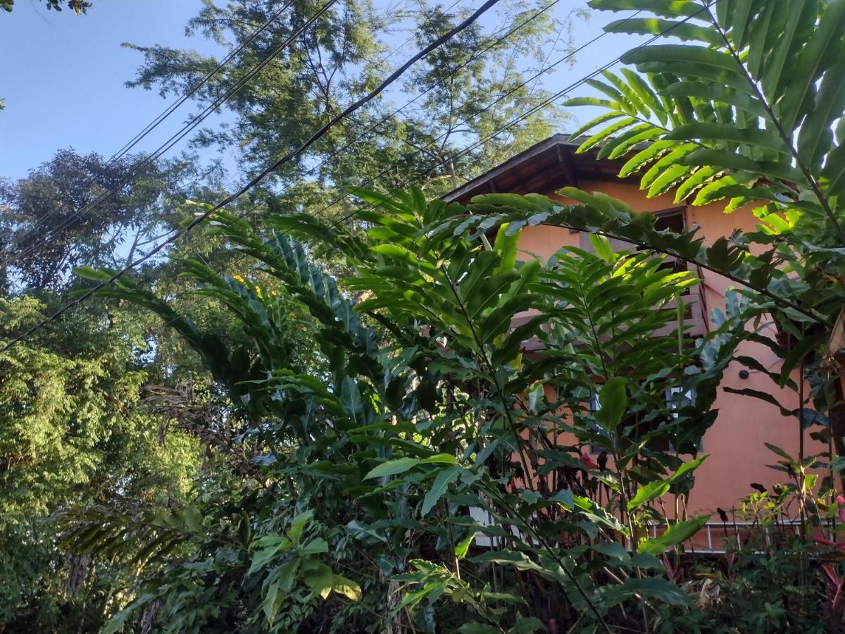 Flat Prumirim Ubatuba Exterior photo